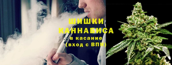 эйфоретик Щигры