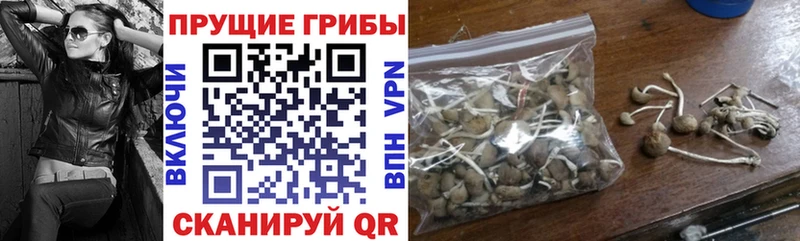 Псилоцибиновые грибы прущие грибы  hydra онион  Константиновск 