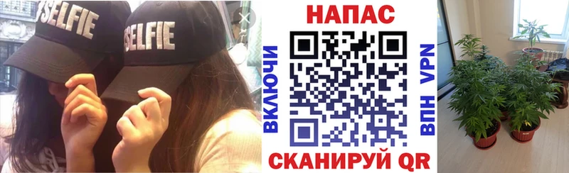 как найти наркотики  Константиновск  Бошки марихуана SATIVA & INDICA 